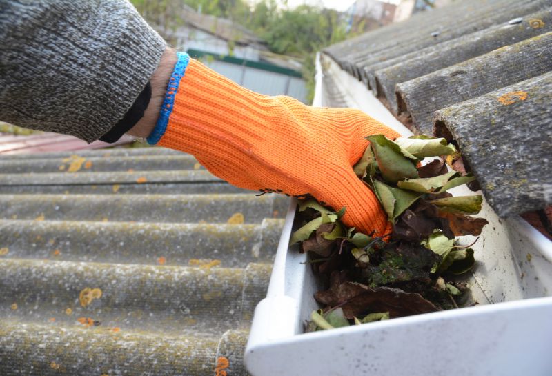 Clogged Gutter Clearing in Frederick, MD