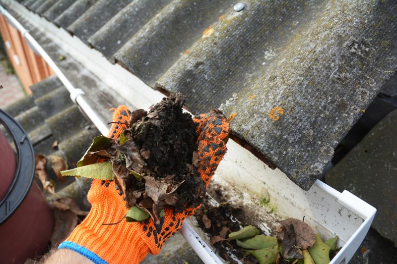 Clogged Gutter Clearing in Fredericksburg, VA