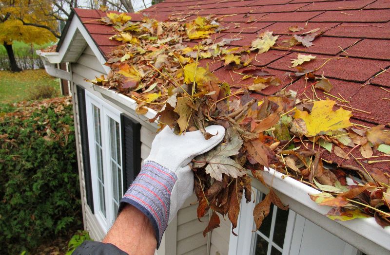 Downspout Cleaning in Fredericksburg, VA