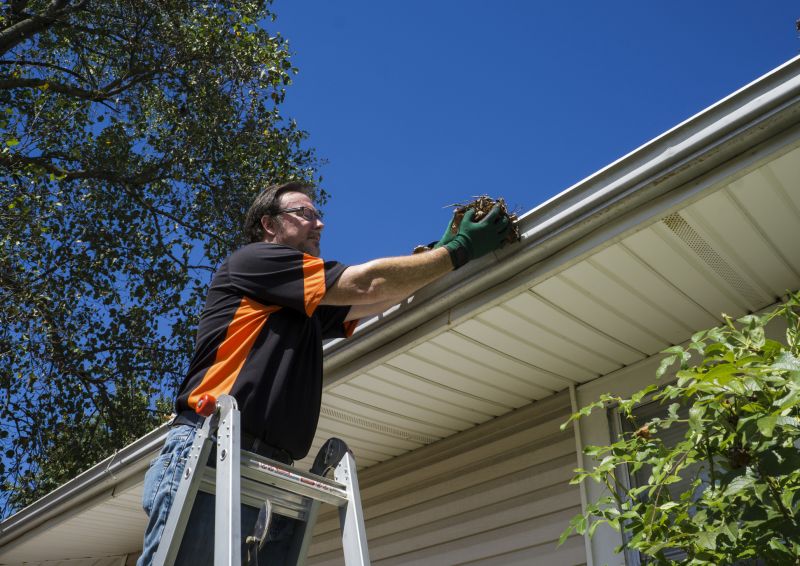 Eavestrough Clearing in Rochester, NY