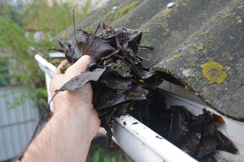 Gutter Leaf Clearing in Richmond, VA