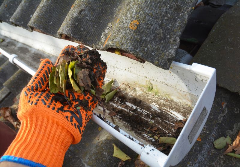 Roof Gutter Cleaning in Arvada, CO